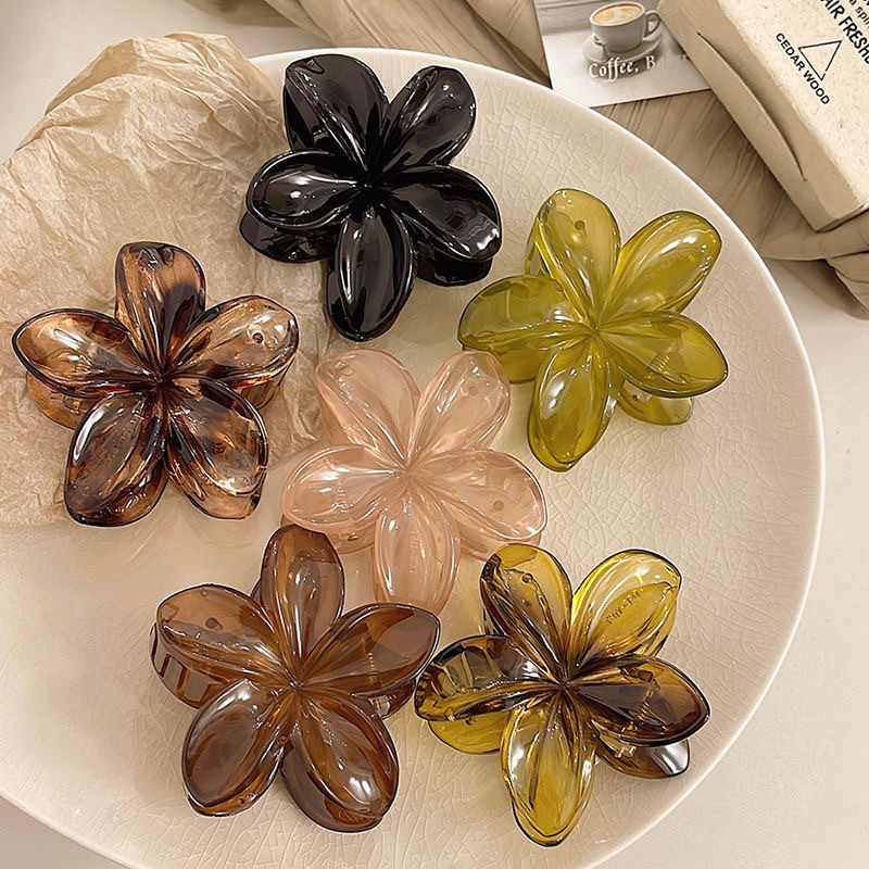Pince à Cheveux Géométrique Si - Hair Claw Clip Set avis et prix