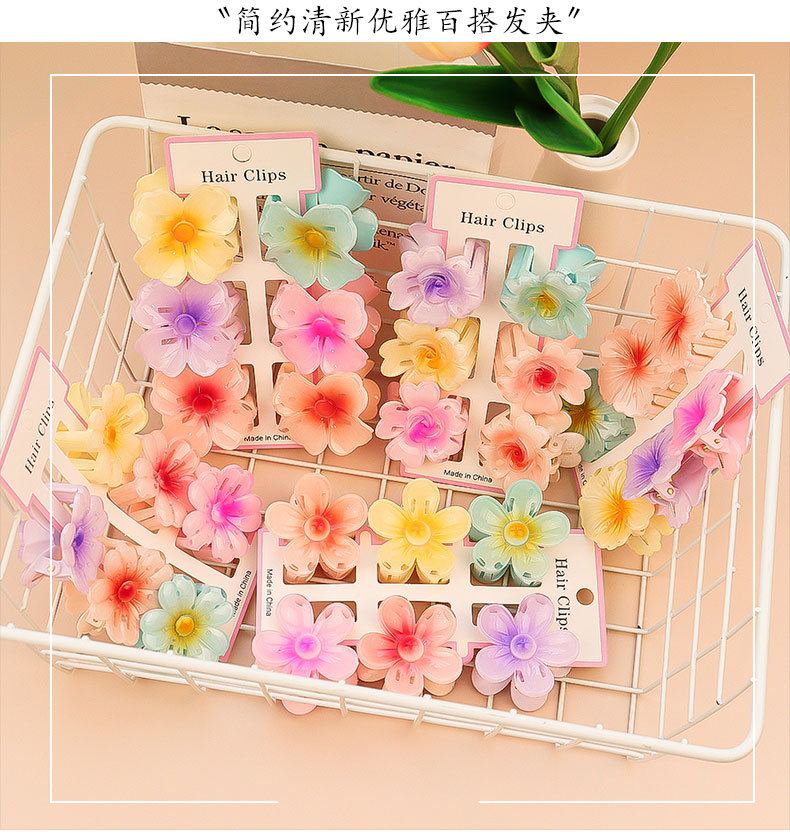 Petites pinces à cheveux trans - Hair Claw Clip Set avis et prix
