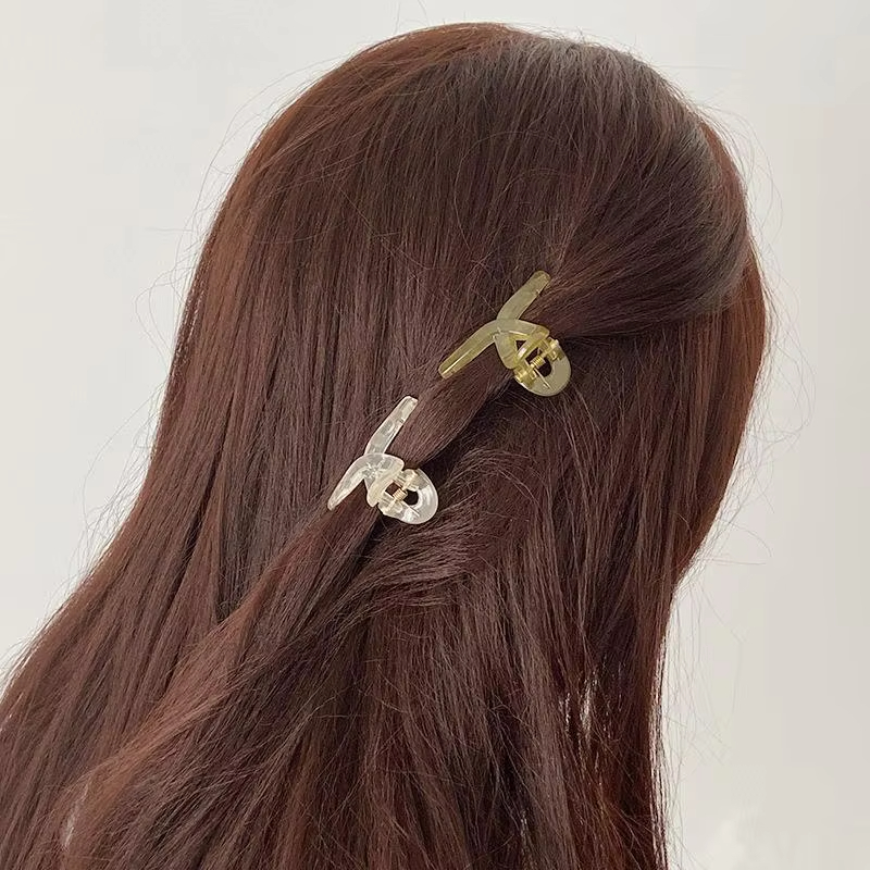 Lot de 4 mini pinces à cheveux - Hair Claw Clip Set avis et prix